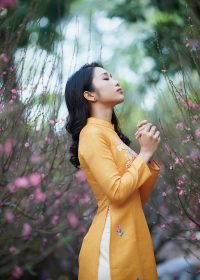 影视区热播古装剧：江山如画，古装历史剧封面，宫廷建筑金色调