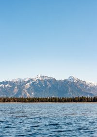 永久免费影院推荐：雪山来信，日本治愈系爱情电影封面，清冷白色调